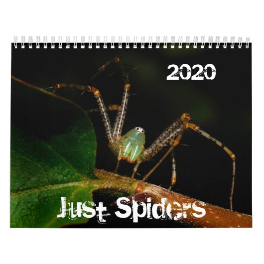 Just Spiders Calendar, 2020 Kalender (Hoes)