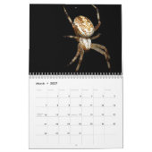 Just Spiders Calendar, 2020 Kalender (Mar 2027)