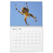 Just Spiders Calendar, 2020 Kalender (Feb 2027)