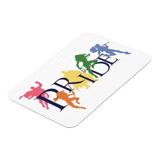 Justice League Pride Karakter Silhouetten Magneet (Linkerzijde)