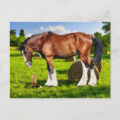 "Justin & een vriend" Briefkaart (Voorkant)