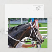 Justin Phillip legt de Vanderbilt vast Briefkaart (Voorkant / Achterkant)