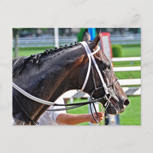 Justin Phillip legt de Vanderbilt vast Briefkaart (Voorkant)