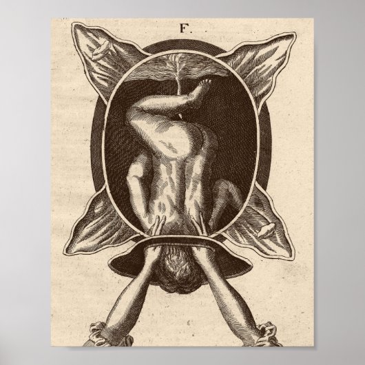 Justine Siegemund Court, verloskundige geboorteill Poster (Voorkant)