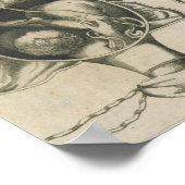 Justine Siegemund Court Verloskundige Zwangerschap Poster (Hoek)