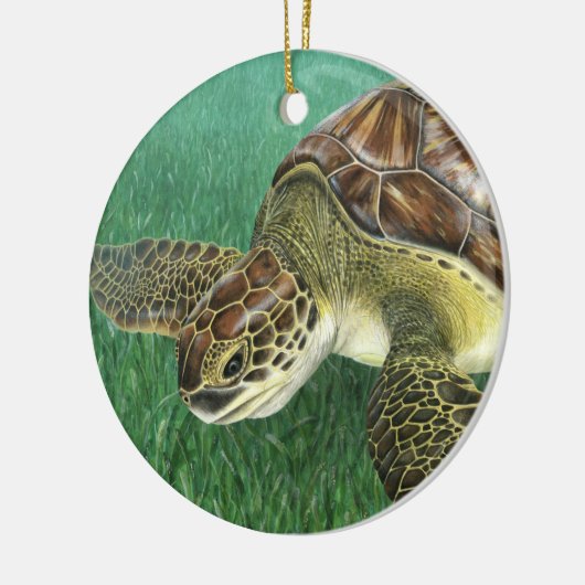 Juveniele Groene Schildpad Keramisch Ornament (Links)