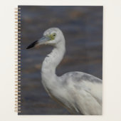 Juveniele Heron 2024 Planner (Voorkant)