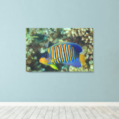 Juveniele koningsengelvis Pygoplites Canvas Afdruk (Insitu (Houten vloer))