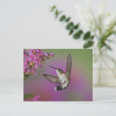 Juveniele mannelijke Ruby Throated Hummingbird Briefkaart (Staand voorkant)