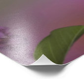 Juveniele mannelijke Ruby Throated Hummingbird Foto Afdruk (Hoek)