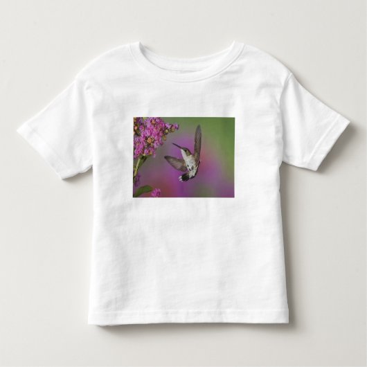 Juveniele mannelijke Ruby Throated Hummingbird Kinder Shirts (Voorkant)