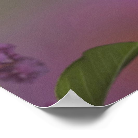 Juveniele mannelijke Ruby Throated Hummingbird Poster (Hoek)