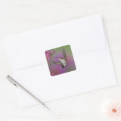 Juveniele mannelijke Ruby Throated Hummingbird Vierkante Sticker (Envelop)
