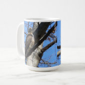 (Juveniele) Red Tailed Hawk Mok (Voorkant links)