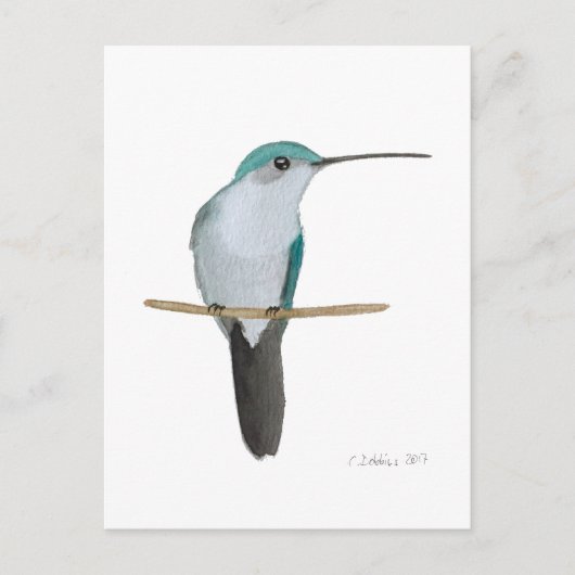 Juveniele robijnkeelkolibrie briefkaart (Voorkant)