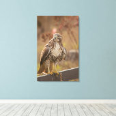 Juveniele roodstaarthavik canvas afdruk (Insitu (Houten vloer))