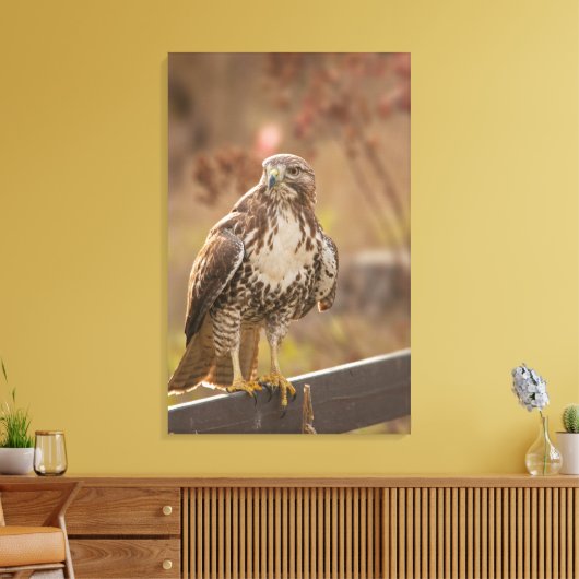 Juveniele roodstaarthavik canvas afdruk (Insitu (Woonkamer))