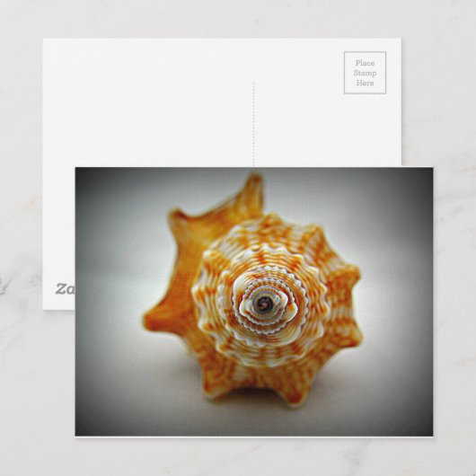 Juveniele strijkstok briefkaart (Voorkant / Achterkant)