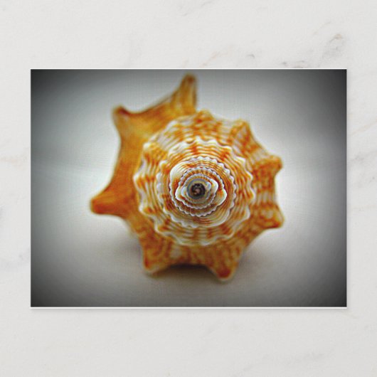 Juveniele strijkstok briefkaart (Voorkant)