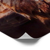 Juvenile American Bald Eagle Poster (Hoek)
