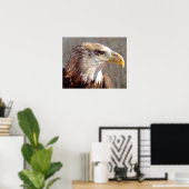 Juvenile American Bald Eagle Poster (Thuiskantoor)