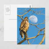 Juvenile Bald Eagle en de maan Briefkaart (Voorkant / Achterkant)