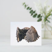 Juvenile Bald Eagle in vlucht Briefkaart (Staand voorkant)
