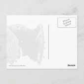 Juvenile Bald Eagle in vlucht Briefkaart (Achterkant)