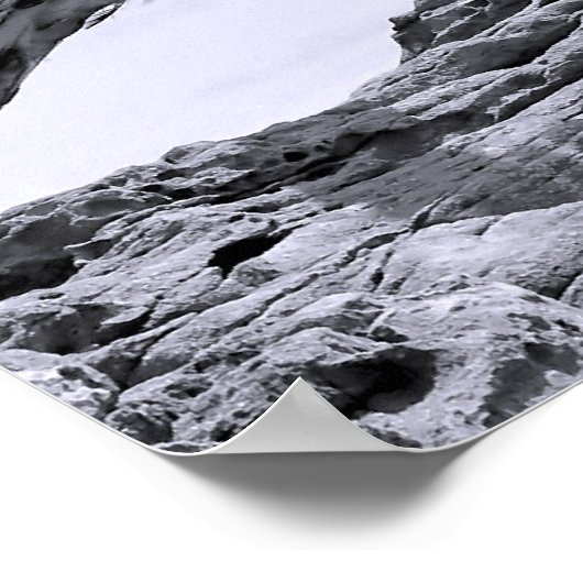 Juvenile Bald Eagle Landing Poster (Hoek)