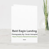 Juvenile Bald Eagle Landing Wenskaart Feestdagen Kaart (Achterkant)