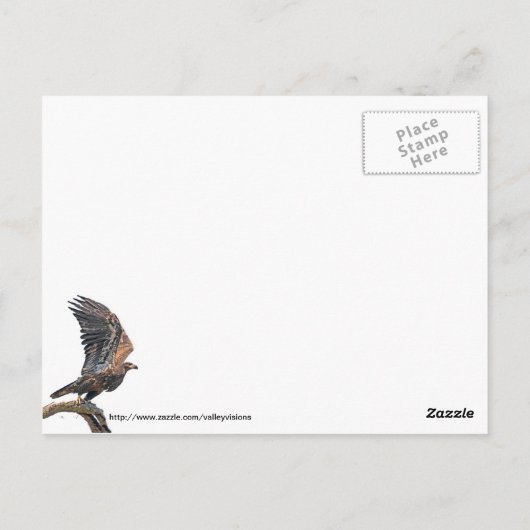 Juvenile Bald Eagle Launch Briefkaart (Achterkant)