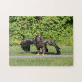 Juvenile Bald Eagle Legpuzzel (Horizontaal)