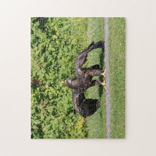 Juvenile Bald Eagle Legpuzzel (Verticaal)