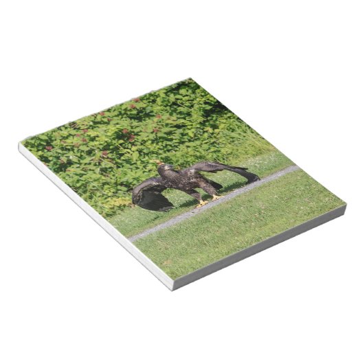 Juvenile Bald Eagle Notitieblok (Schuin)