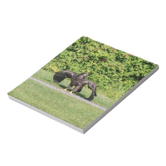 Juvenile Bald Eagle Notitieblok (Linkerzijde)