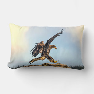 Juvenile Bald Eagle oefent zijn landingsvaardighed Kussen