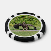 Juvenile Bald Eagle Pokerchips (Enkel)