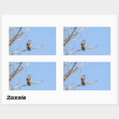Juvenile Bald Eagle Rechthoekige Sticker (Vel)