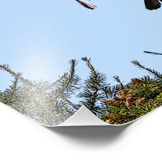 Juvenile Bald Eagle start op Foto Afdruk (Hoek)