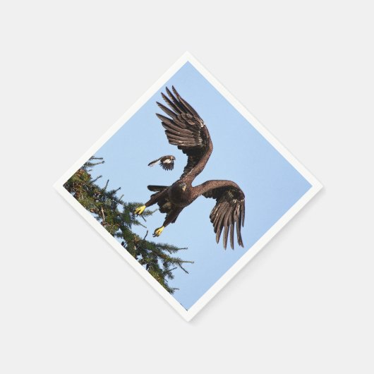 Juvenile Bald Eagle start op Servetten (Hoek)