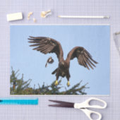 Juvenile Bald Eagle start op Tissuepapier (Craft)