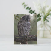 Juvenile Barred Owl (Strix varia) 2 Briefkaart (Staand voorkant)