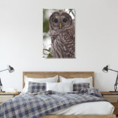 Juvenile Barred Owl (Strix varia) Canvas Afdruk (Insitu (Slaapkamer))