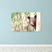 Juvenile Black Beer Portrait, Missoula, Montana Canvas Afdruk (Insitu (Houten vloer))