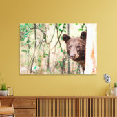 Juvenile Black Beer Portrait, Missoula, Montana Canvas Afdruk (Insitu (Woonkamer))