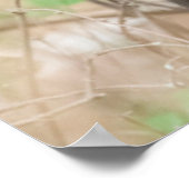 Juvenile Black Beer Portrait, Missoula, Montana Poster (Hoek)