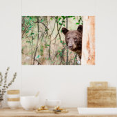 Juvenile Black Beer Portrait, Missoula, Montana Poster (Keuken)