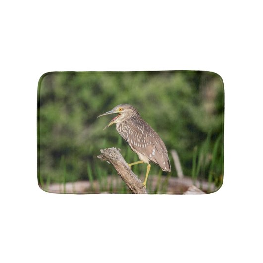 Juvenile Black Crowned Night Heron Badmat (Voorkant)