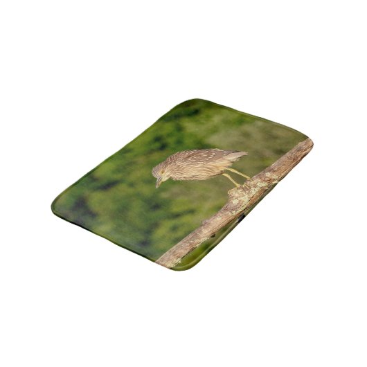 Juvenile Black Crowned Night Heron Badmat (Gekanteld)