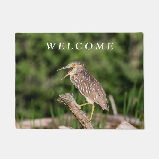 Juvenile Black Crowned Night Heron Deurmat (Voorkant)
